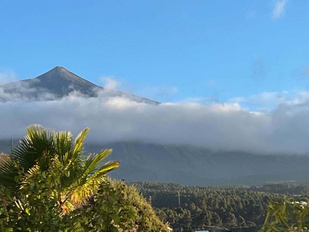Pajar - Finca Tabaiba By Tor Icod De Los Vinos Eksteriør billede